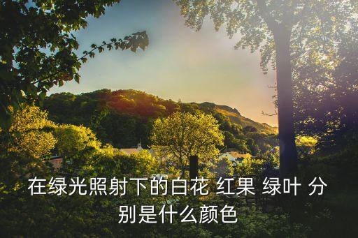 在绿光照射下的白花 红果 绿叶 分别是什么颜色