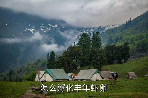 怎么孵化丰年虾卵