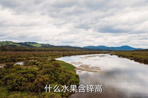 什么水果含锌高