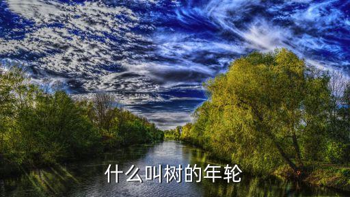 树木年轮，树木的年轮是怎么来的