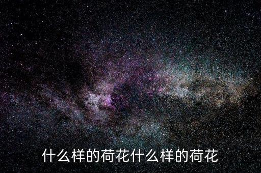 什么样的荷花，什么的荷花