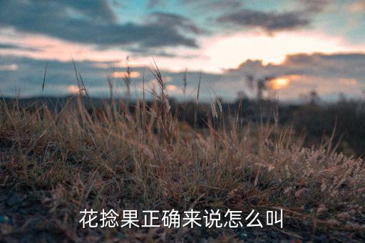 花捻果正确来说怎么叫