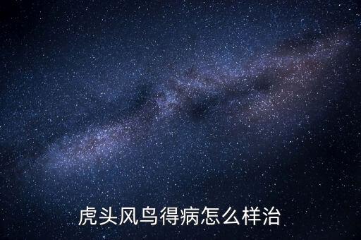 虎头风鸟得病怎么样治