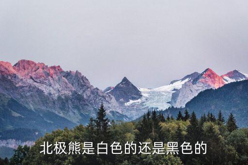 北极熊是什么颜色，北极熊的皮肤是什么颜色的