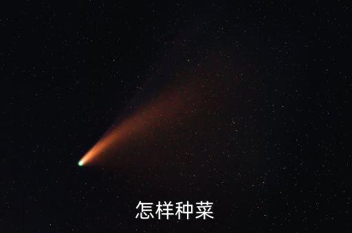 怎样种菜