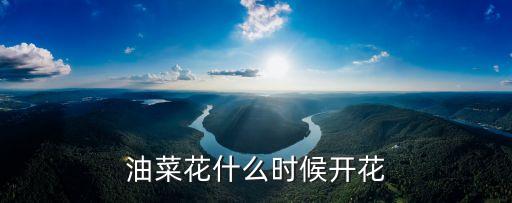 油菜花什么时候开花
