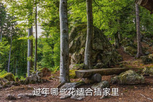 家庭插花，过年哪些花适合插家里