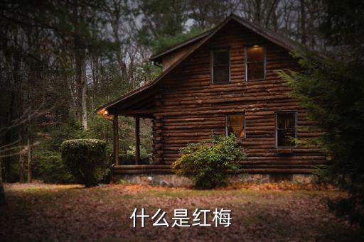 红梅，红梅苏轼 译文