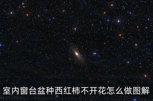 室内窗台盆种西红柿不开花怎么做图解