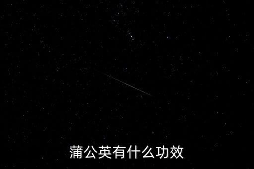 蒲公英有什么功效