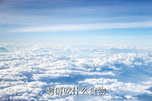 小刺猬吃什么，小刺猬吃什么