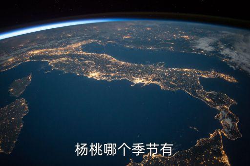 杨桃哪个季节有