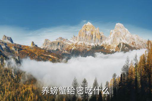 养螃蟹给它吃什么
