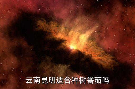 云南树番茄，云南保山地区有树番茄种植合作社吗