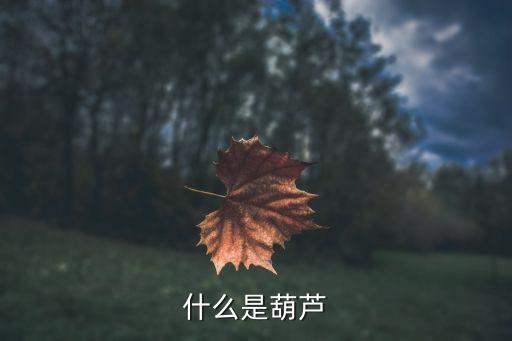 什么是葫芦