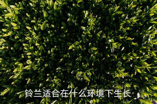 铃兰适合在什么环境下生长