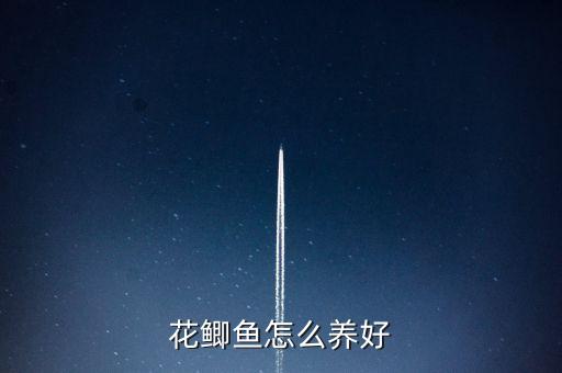 花鲫鱼，花鲫鱼是哪种鱼