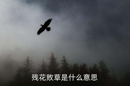 残花败草是什么意思