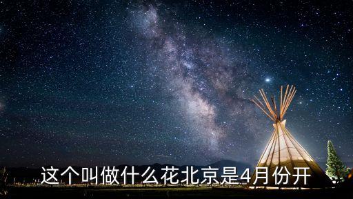 这个叫做什么花北京是4月份开
