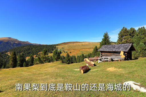 鞍山南果梨，鞍山哪的南果梨好吃
