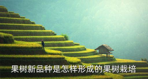 果树新品种是怎样形成的果树栽培