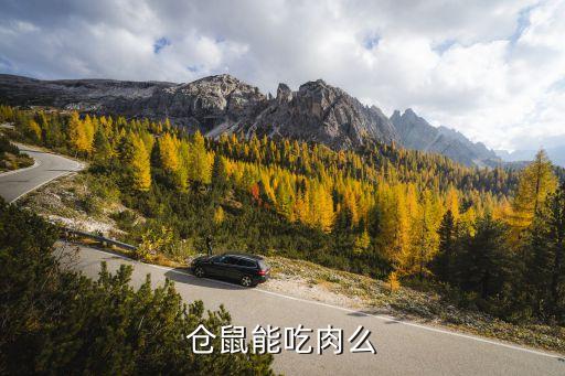 仓鼠吃肉吗，仓鼠可以吃肉吗