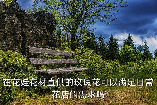 白雪山玫瑰，白雪公主 那种白色的玫瑰 是什么品种