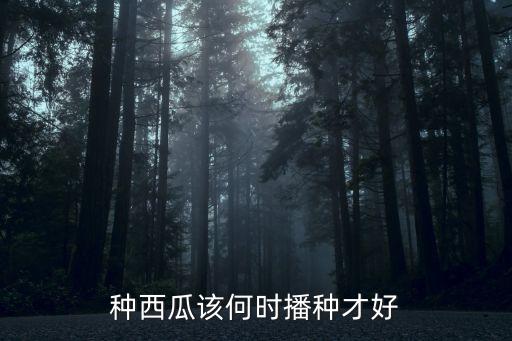 种西瓜该何时播种才好