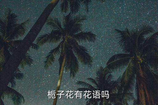 栀子花有花语吗