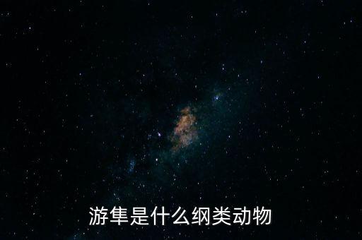 游隼，游隼是什么意思第二个字读什么