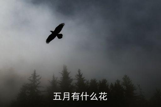 五月有什么花