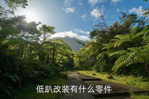 低趴改装有什么零件