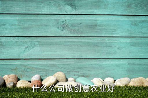 什么公司做创意农业好