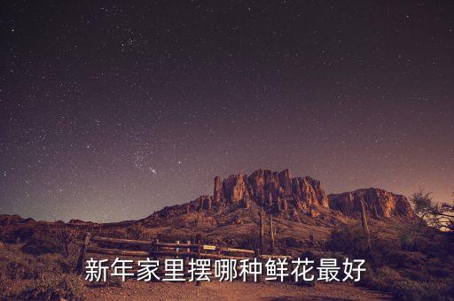 新年家里摆哪种鲜花最好