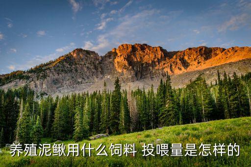 泥鳅吃什么饲料，泥鳅吃什么饲料