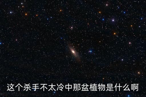 银斑球兰，请问这个植物叫什么叶片上有白点叶片硬厚