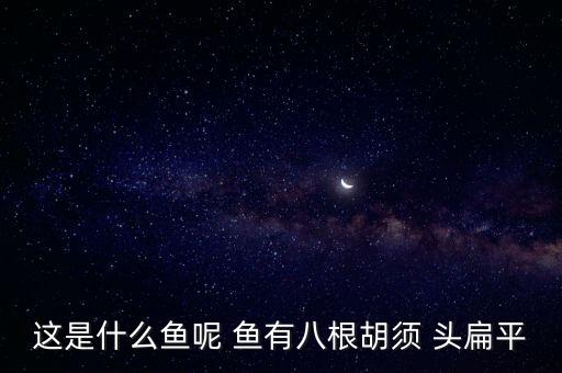 埃及鱼图片，这是什么鱼呢 鱼有八根胡须 头扁平
