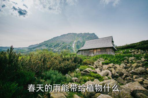 春天的雨能带给植物什么