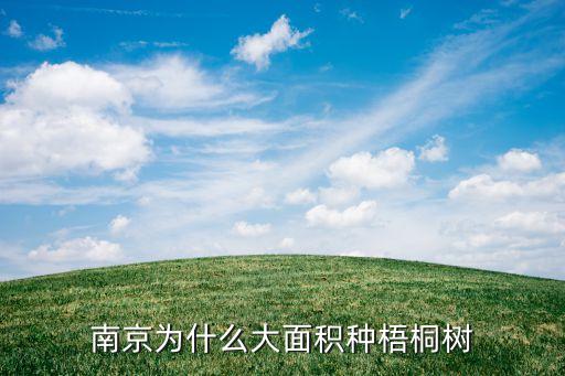 南京为什么大面积种梧桐树