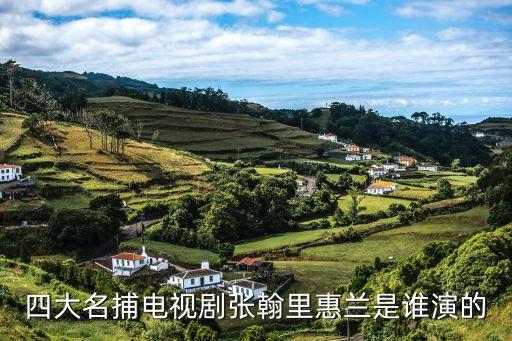 慧兰，四大名捕电视剧张翰里惠兰是谁演的