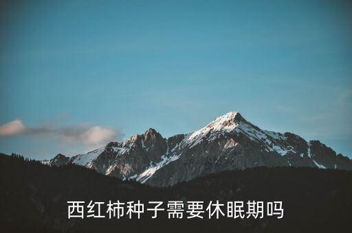 西红柿种子需要休眠期吗