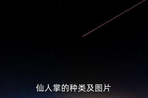 仙人掌类，仙人掌的种类及图片