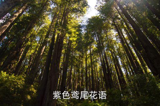 紫鸢尾，紫色鸢尾花语