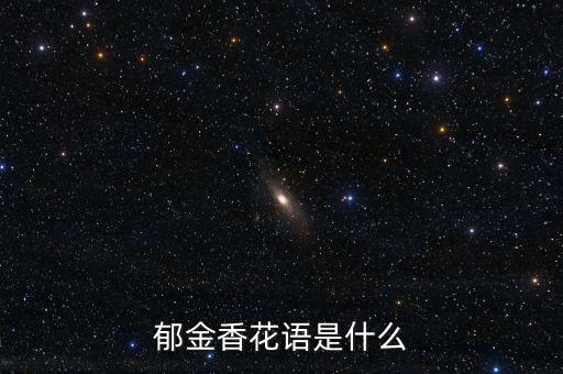 郁金香寓意，郁金香代表什么 郁金香花语的象征意义大全