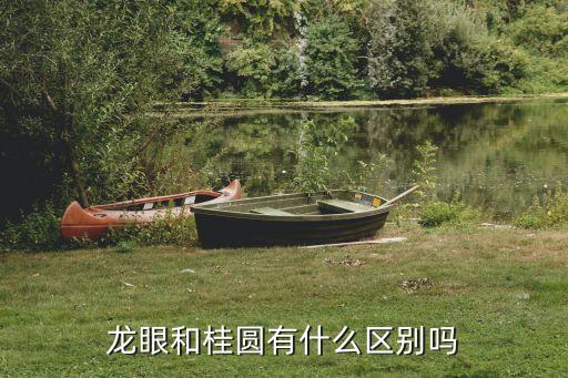 桂圆和龙眼的区别，龙眼与桂圆有什么区别