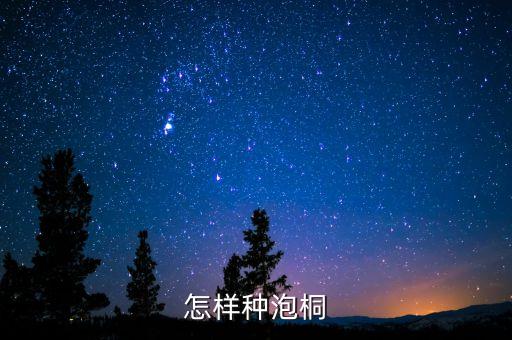 泡桐，怎样种泡桐