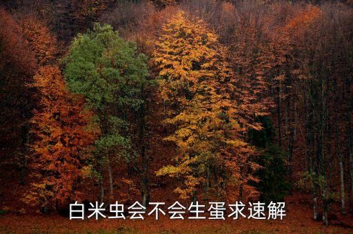 白米虫会不会生蛋求速解
