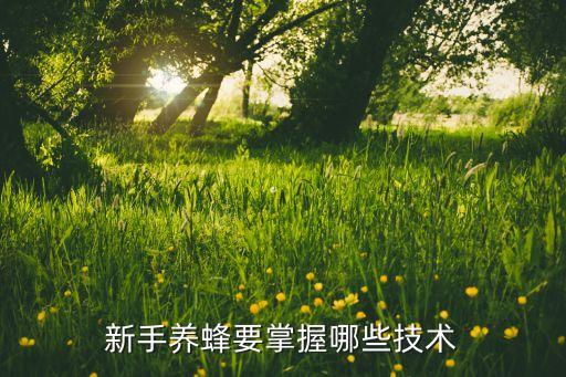 新手养蜂要掌握哪些技术