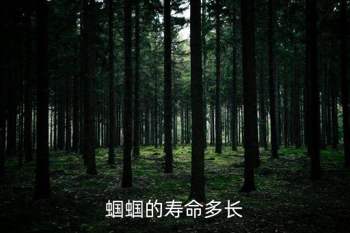 蝈蝈的寿命多长