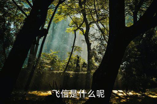 caixin，酷信是什么